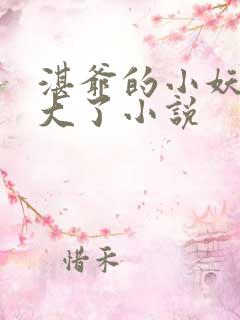 湛爷的小妖精长大了小说