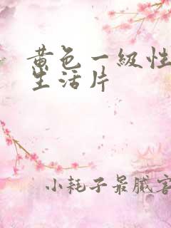 黄色一级性夫妻生活片