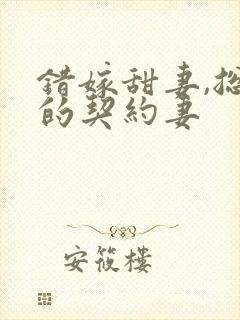 错嫁甜妻,总裁的契约妻