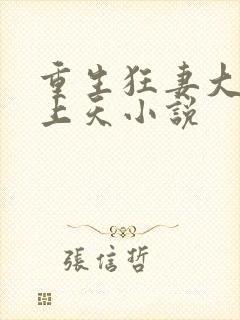 重生狂妻大佬宠上天小说