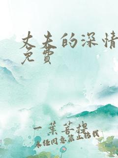 丈夫的深情谎言免费