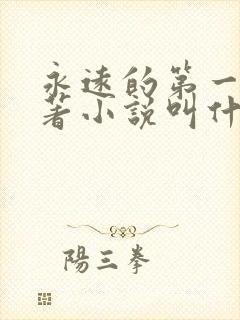 永远的第一名原著小说叫什么