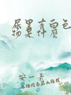 尿里有白色沉淀物是什么