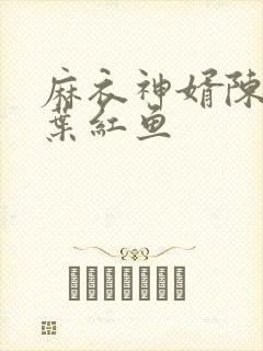 麻衣神婿陈黄皮叶红鱼