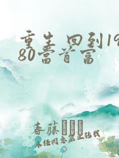 重生 回到1980当首富