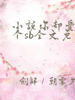 小说你却爱着一个sb全文免费阅读