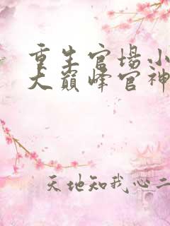 重生官场小说十大巅峰官神之作