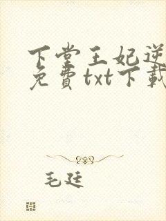 下堂王妃逆袭记免费txt下载