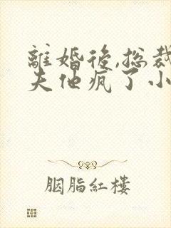 离婚后,总裁前夫他疯了小