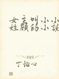 女主叫小小男主姓顾的小说