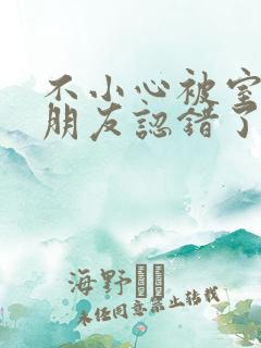 不小心被室友男朋友认错了宁笑阿温作者