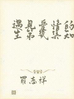 遇见爱情的利先生第几集知道身世