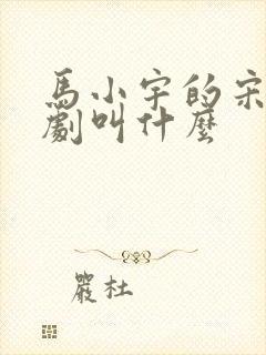 马小宇的宋察短剧叫什么