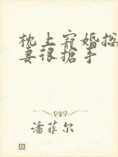 枕上宠婚总裁前妻很抢手