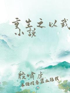 重生之以武入道 小说