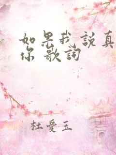 如果我说真的爱你 歌词