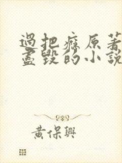 过把瘾原著三观尽毁的小说