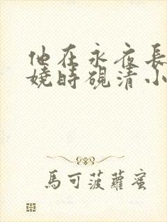 他在永夜长眠苏娆时砚清小说阅读