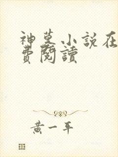 神墓小说在线免费阅读