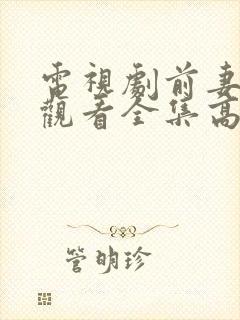 电视剧前妻免费观看全集高清