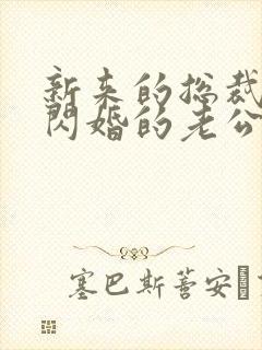 新来的总裁竟是闪婚的老公短剧免费观看