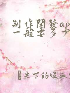 制作开发app一般要多少钱