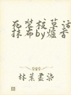 死装校草活该被抹布by炉香