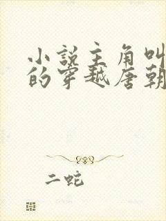 小说主角叫李辰的穿越唐朝小说