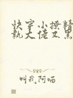 快穿小撩精:偏执大佬又黑化了小说