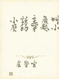 小说主角叫苏什么的穿越小说