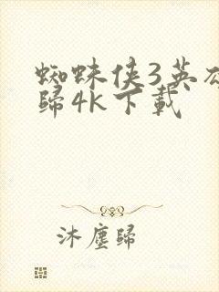 蜘蛛侠3英雄无归4k下载