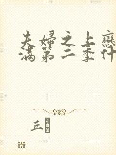 夫妇之上恋人未满第二季什么时候出?