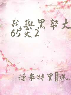 我与黑帮大佬365天2