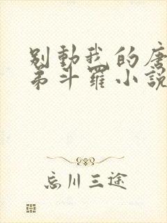 别动我的唐三弟弟斗罗小说