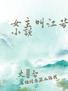女主叫江若雪的小说