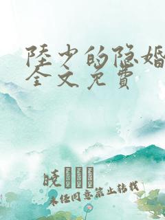 陆少的隐婚罪妻全文免费
