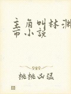 主角叫林渊的都市小说