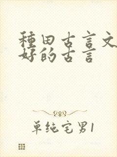 种田古言文笔超好的古言