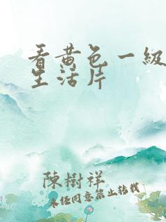 看黄色一级夫妻生活片