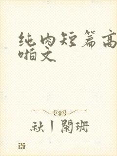 纯肉短篇高h啪啪文