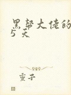 黑帮大佬的365 天