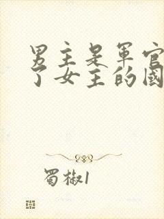 男主是军官侵略了女主的国家