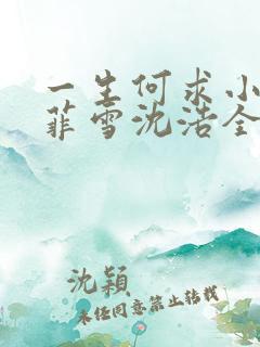 一生何求小说秦菲雪沈浩全文免费阅读txt