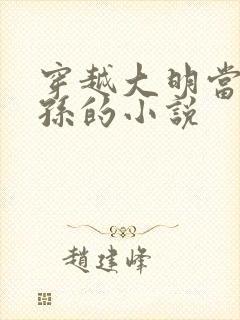 穿越大明当皇太孙的小说