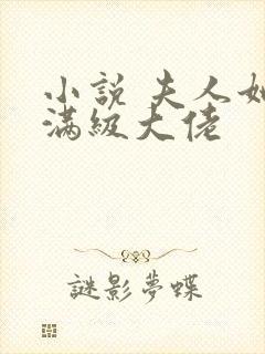 小说 夫人她是满级大佬