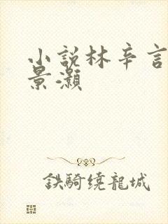 小说林辛言和宗景灏