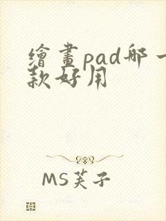 绘画pad哪一款好用