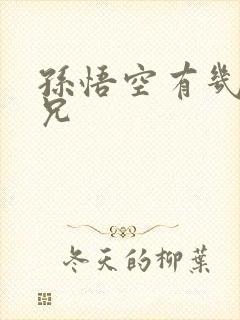 孙悟空有几个师兄