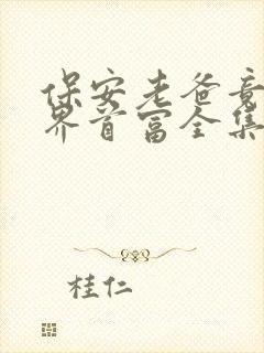 保安老爸竟是世界首富全集