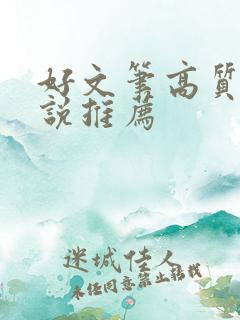 好文笔高质量小说推荐
